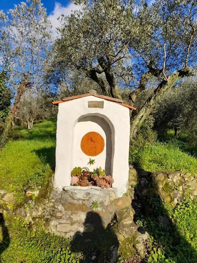 Bed and Breakfast Antica Bottega di Vinci