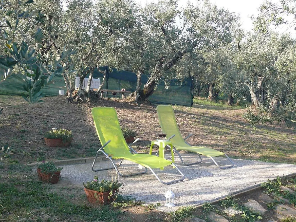 Bed and Breakfast Antica Bottega di Vinci 0*,  Italia