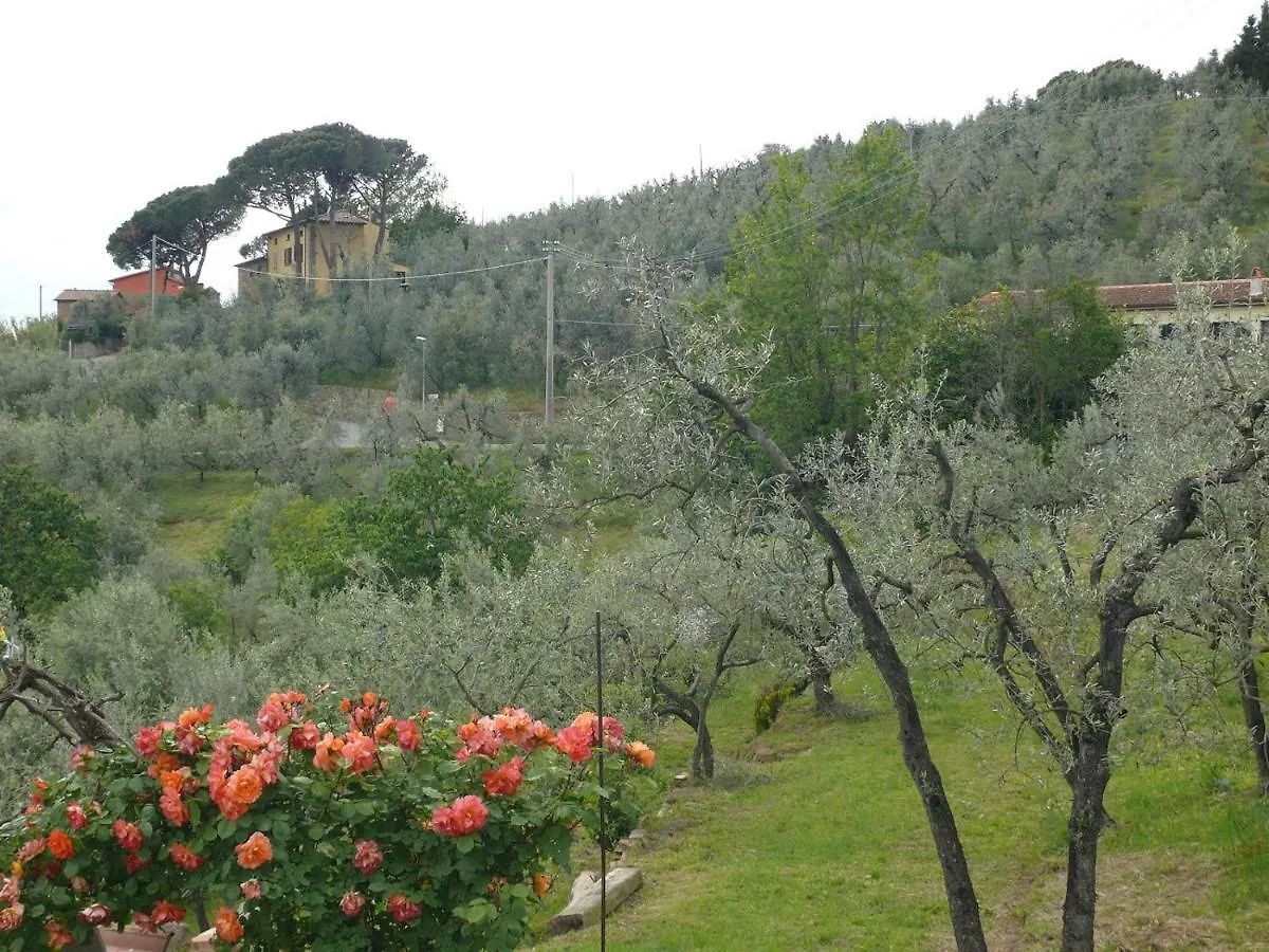 Bed and Breakfast Antica Bottega di Vinci Bed & Breakfast