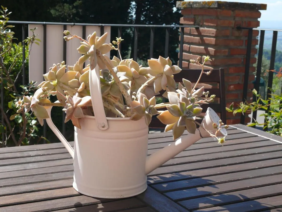 Antica Bottega Di Vinci Bed & Breakfast