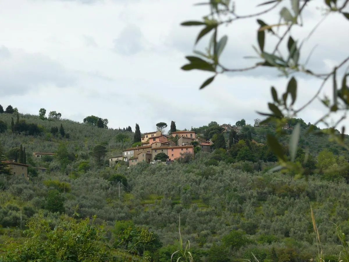 Antica Bottega Di Vinci Bed & Breakfast 0*,