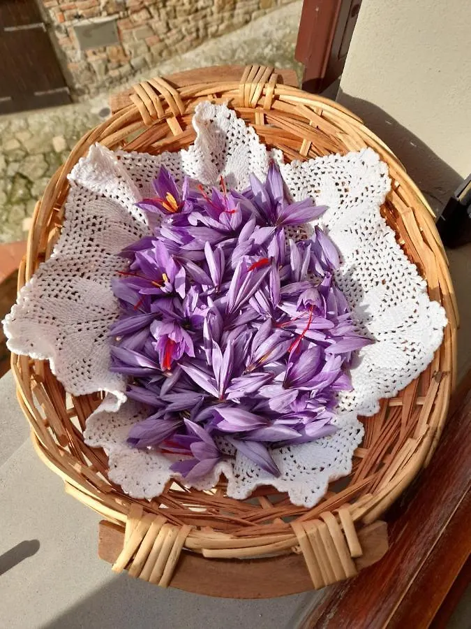Antica Bottega Di Vinci Bed & Breakfast Italy